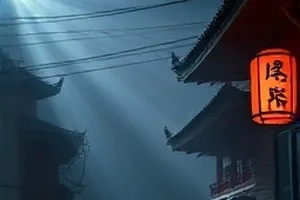 《大地脉动纪实》草原上角马群迁徙的航拍